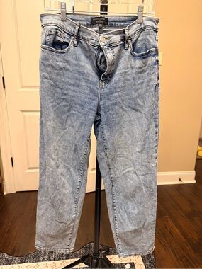 Banana Republic Women’s Light Wash Relaxed Straight Jeans